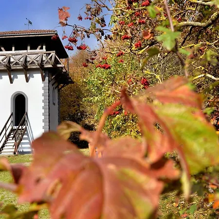 公寓 Zum Roemerturm