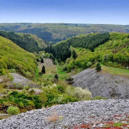 公寓 Zum Roemerturm Kaisersesch